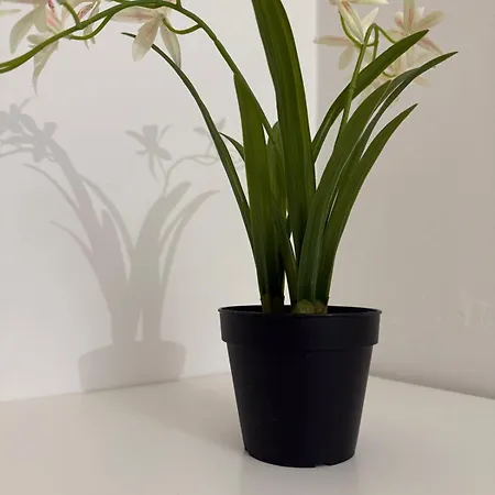 A Casa Di Noah Lägenhet *