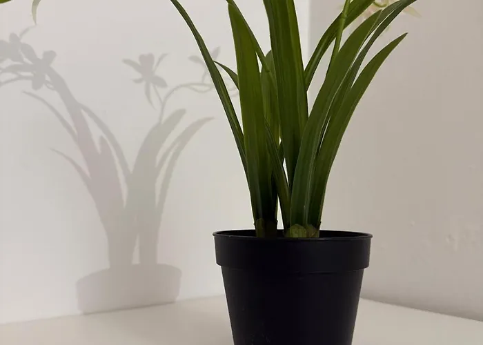 A Casa Di Noah Appartamento *